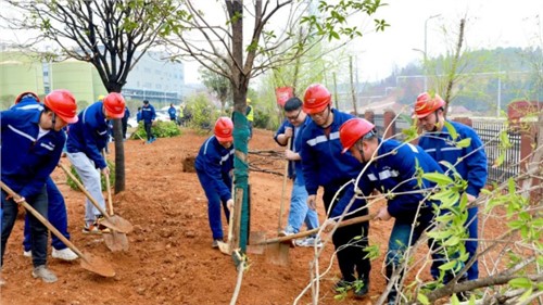 這個植樹節，共植一抹青綠，向著綠色未來出發！