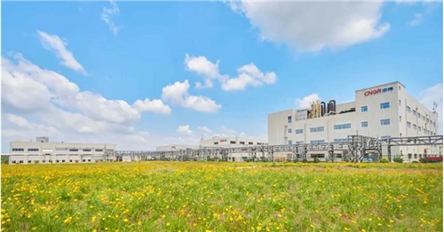 連續(xù)三年排名穩(wěn)步提升！中偉股份入選2025年中國民營企業(yè)500強